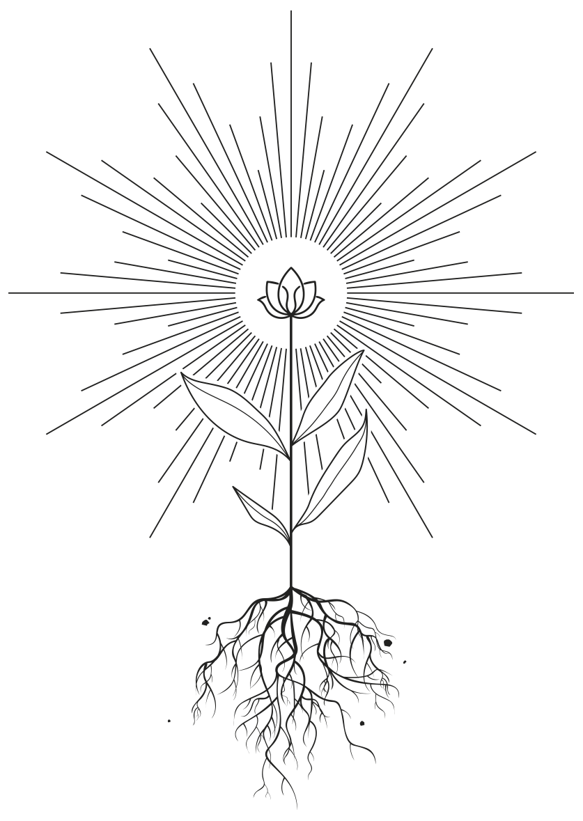 Plant the Seeds