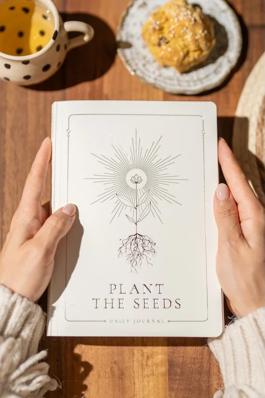 September as a Second New Year: The Season of Quiet Beginnings